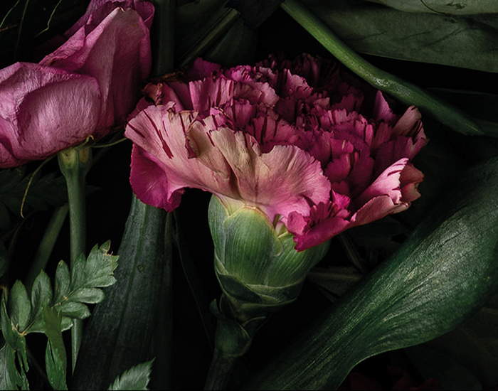 thumbnails/581_Iconic_Flowers.jpg: 